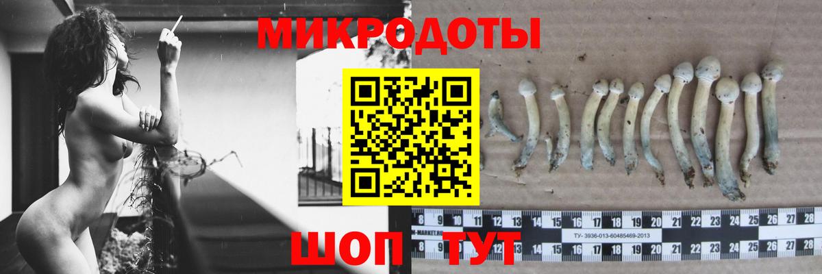 Кириши  Псилоцибиновые грибы MAGIC MUSHROOMS  хочу наркоту  Вход с VPN 