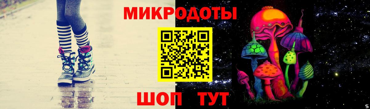Галлюциногенные грибы Psilocybe Кириши